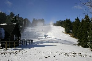 Der unterste Hang am Pungart mit 4 Lenkos.