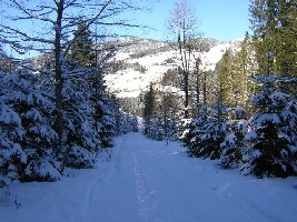 traumhafter Winterwanderweg