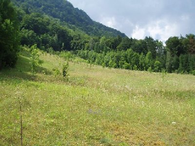 oberer "roter Teil" des Hanges