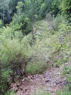 hier war mal die Bergstation