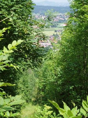 ehemaliger, zugewachsener Trassenverlauf