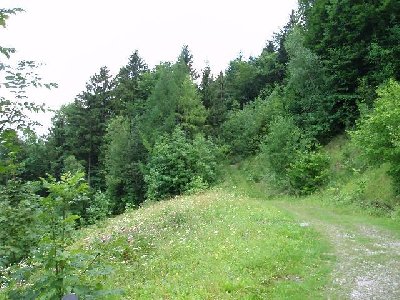 Blick von dem Standpunkt der ehemaligen Bergstation des Schleppliftes auf den Einstieg der roten Piste