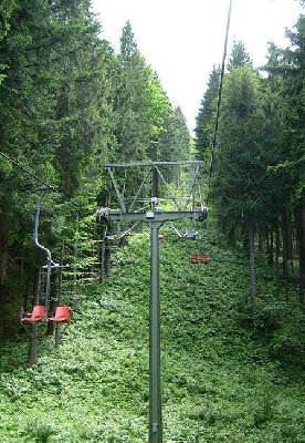 7-dsb wald2.JPG