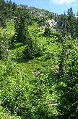 Fundamente von Niederhalter in einer Senke