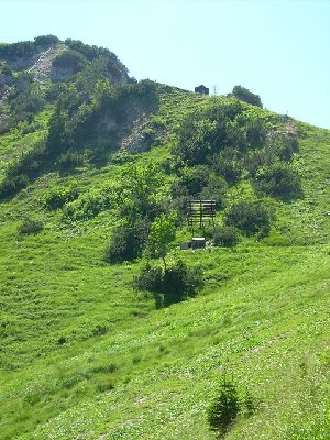 Zoom zur Bergstation