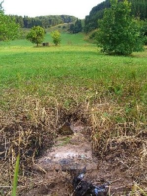 übrig gebliebenes Fundament im Bereich der Talstation