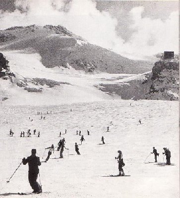 Saas-Fee Felskinn.jpg