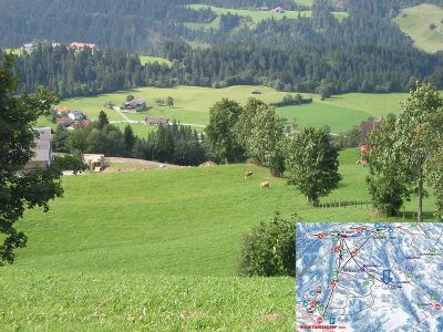 Blick von oben auf diese Stütze.