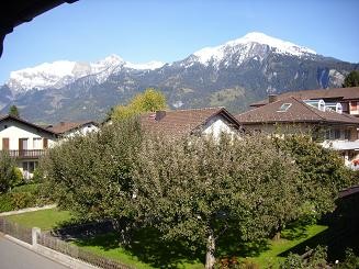 ohne zoom. blick heute mittag zum badezimmerfenster hinaus =)