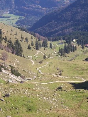 Schlepplift von oben