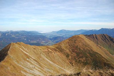 Blick ins Voralpenland und zum Grünten