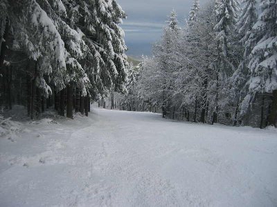 Skilift Inselsberg (4).jpg