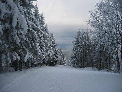 Skilift Inselsberg (15).jpg