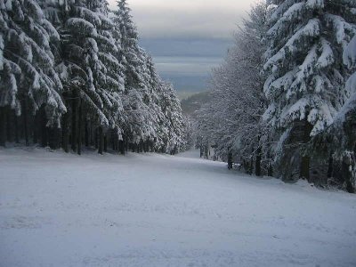 Skilift Inselsberg (17).jpg