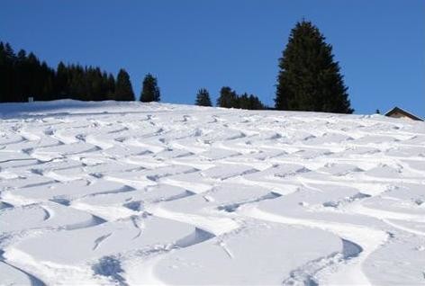 auf der Rigi. (gewusst wo!)