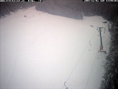 Vogelskopf Webcam