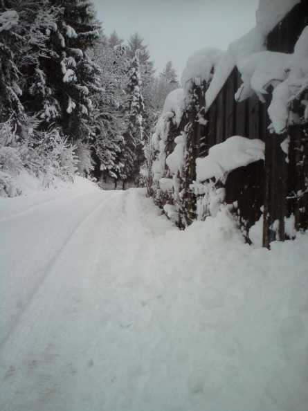 Oberhalb Innsbruck, Schloss Mentlberg