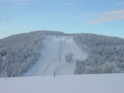 Blick auf TS Petit Artimond