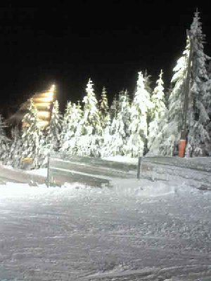 Blick vom Hang 2 zum Hochkopf