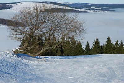 Links geht es zur roten "Direttissima", rechts zur blauen Familienabfahrt