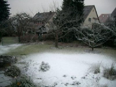 schnee 291208.JPG