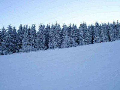 Der Schein trügt: Es war sehr voll
