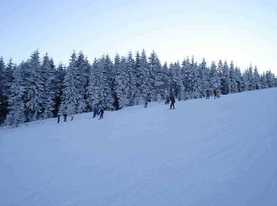 doch ein paar Skifahrer