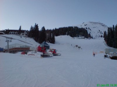 Bullys bei der Arbeit