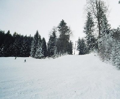 Trasse von Talstation aus