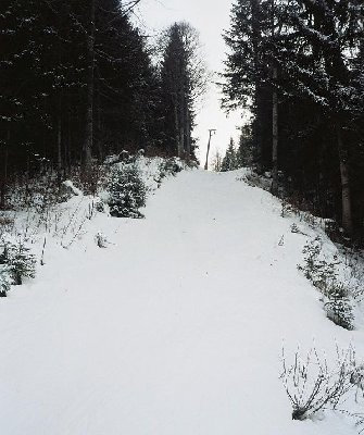 weiter oben gehts durch den Wald steil hinauf...
