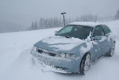 Am Kahlen Asten Südhang