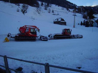 1-Bullis am morgen.jpg