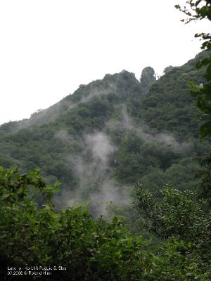 Was versteckt sich da hinter den Nebelschwaden?