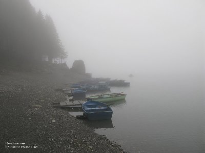 Oeschinensee im Nebel