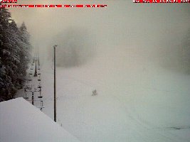 Mittelstation auf 560 m - es schneit ganz leicht aus dem Nebel und vor allem aus den vielen Lenkos!