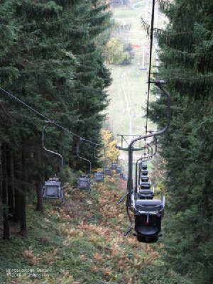Strecke durch den Wald