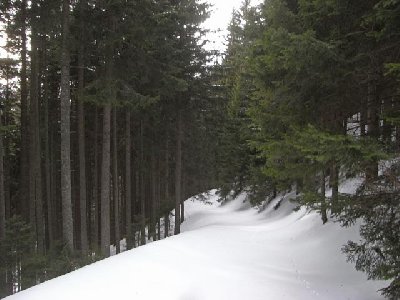 Variantenabfahrt vom Seebergsattel nach Seewiesen