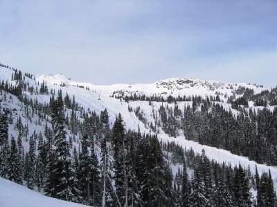 Viel Skigelände. Die Harmony Bowl. Unten Wald, oben freies Gelände.