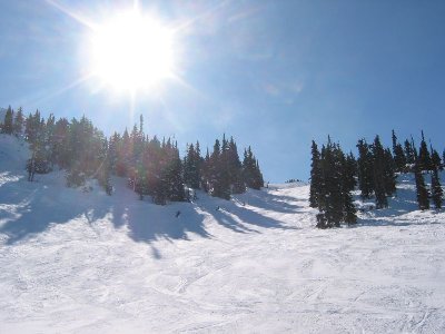 "Upper Peak to Creek". Die Waldgrenze ist erreicht, die Abfahrt dreht nach von West nach Nordost