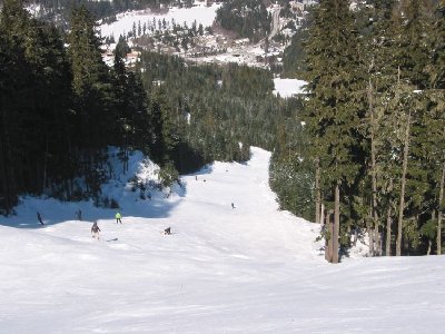 "Lower Peak to Creek": hängend, eher schmal, wellig, schön!