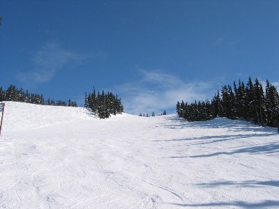 Gut geneigte und leere Waldschneisen am Blackcomb Mtn