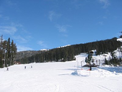 Auf der breiten, easy-going Talabfahrt vom Blackcomb-Mtn steht diese antike Schneekanone