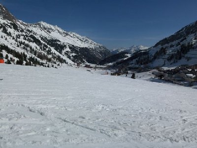 edelweiß nachmittags alpinforum.JPG