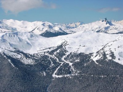 Symphony Bowl vom Blackcomb Mtn aus gesehen. Von link: Staccato Glades, Adagio und Jeff's Ode to Joy