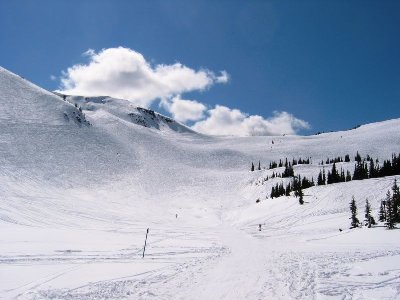 Flute Bowl von unten