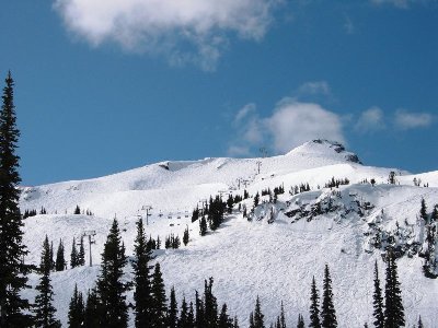 Die oberen 2/3 der Harmony Bowl im Zoom