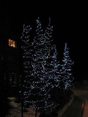 Nachts sind die Bäume der Fußgängerzone nett beleuchet (man könnte auch kitschig sagen...)