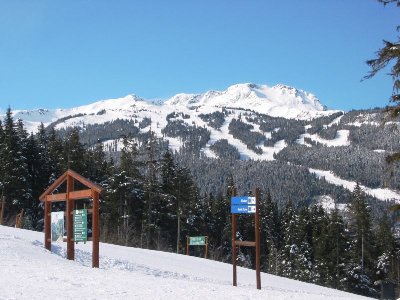 Whistler Mtn vom Blackcomb Mtn aus gesehen. In Bildmitte die 4-KSB Emerald Express