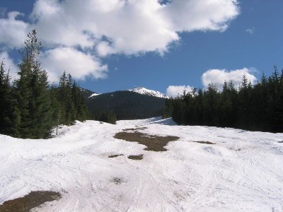 Unten ging ein wenig der Schnee aus, aber was will man mehr, am 15. April Abfahrt bis auf 650 m? Reicht es dennoch für den "Brozenen Starli"?