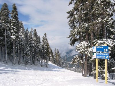 ...und stehen an dieser Verzweigung.